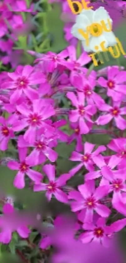 Vibrant pink flowers with lush greenery and inspirational text.