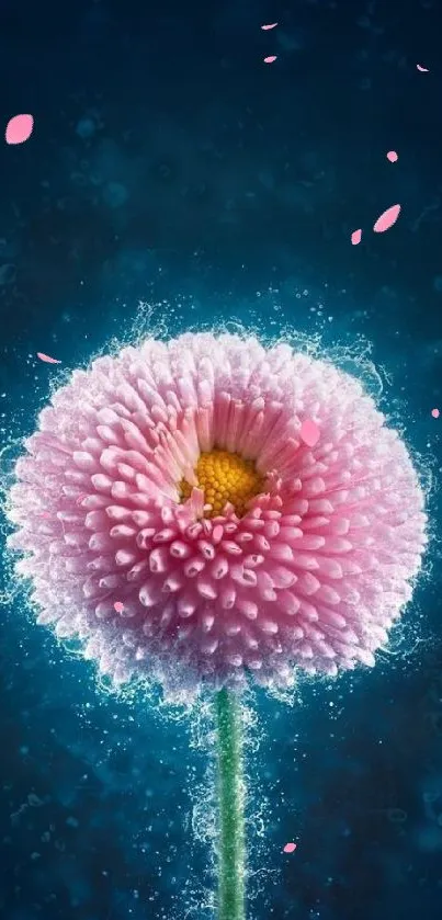 Stunning pink flower with water effect on a blue background.