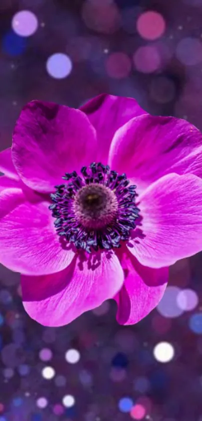 Vibrant pink flower with a bokeh background, ideal for phone wallpapers.