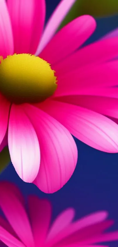 Vibrant pink flower with a blue background mobile wallpaper.