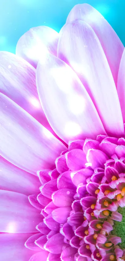 Close-up of a vibrant pink flower on a turquoise background.