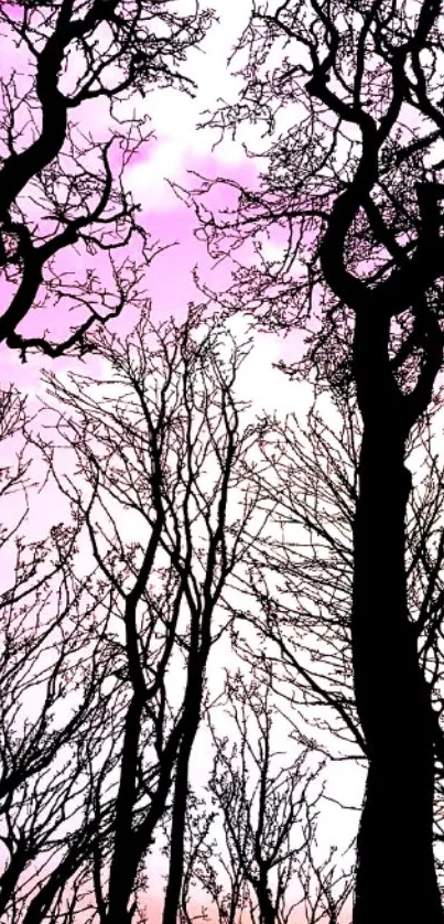 Silhouetted trees against a pink sky, vibrant wallpaper.