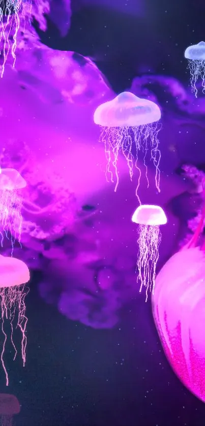 Vibrant pink jellyfish glowing in dark ocean.