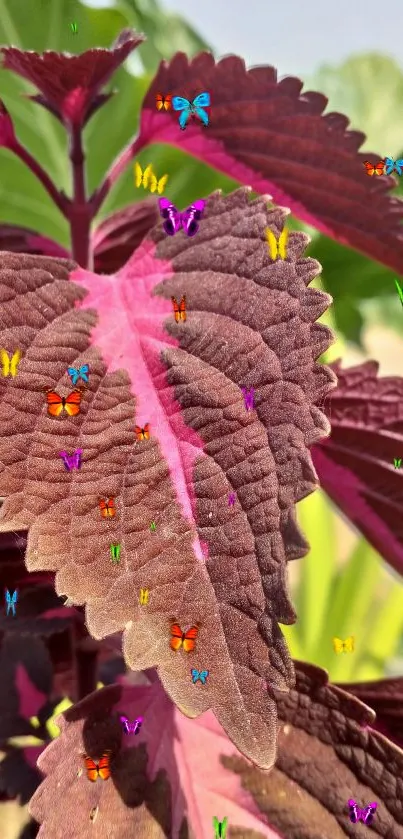 Close-up of vibrant pink leaf with green background.