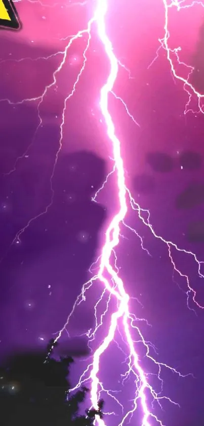 Dynamic pink lightning bolt in a dark sky.