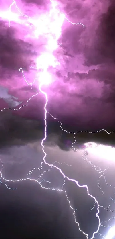 Pink lightning bolts in dark stormy clouds wallpaper.