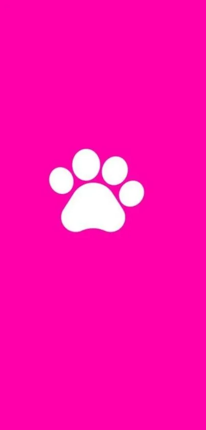 Vibrant pink wallpaper with a white paw print.