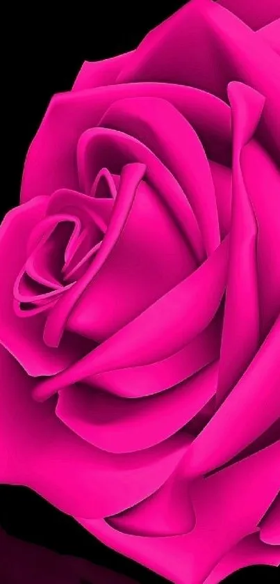 Vibrant pink rose on a black background, perfect for a bold phone wallpaper.