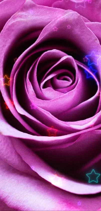 Close-up of a vibrant pink rose with star accents on a mobile wallpaper.