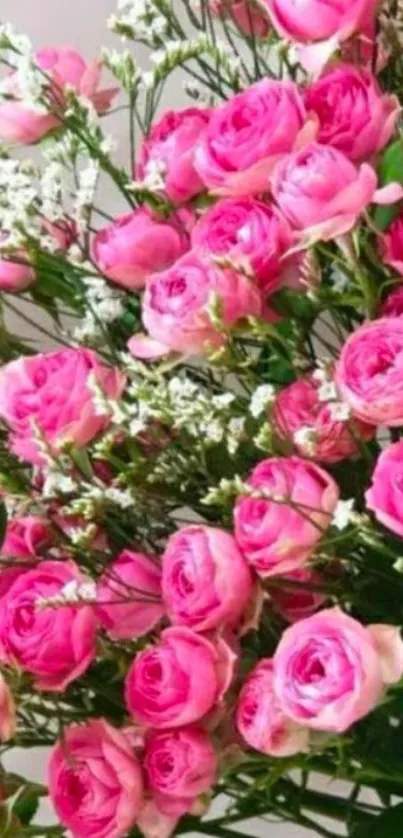 Vibrant pink roses with green leaves.