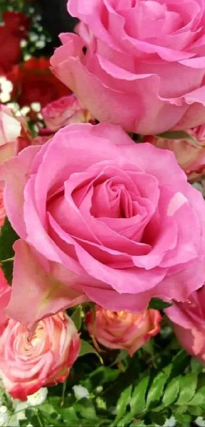 Mobile wallpaper with vibrant pink roses and green leaves.