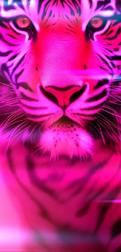 Vibrant pink tiger mobile wallpaper with striking details.