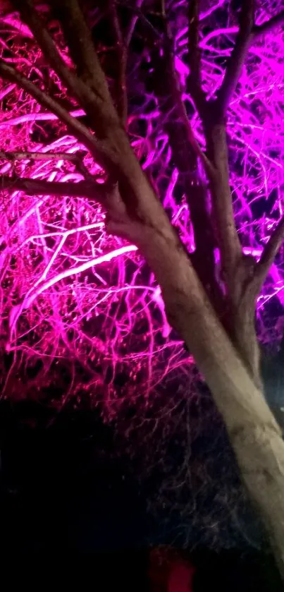 Pink illuminated tree branches glowing at night.