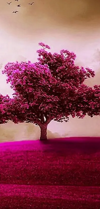 Vibrant pink tree on a grassy hill under a sunset sky.