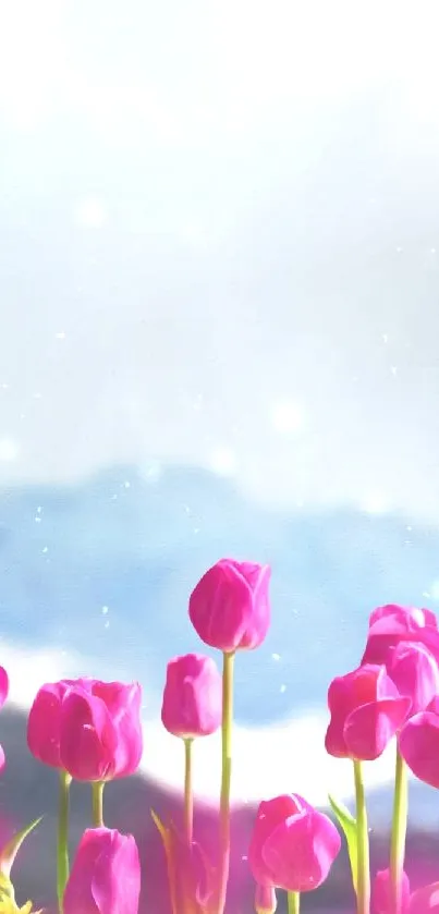 Vibrant pink tulips with snowy mountain backdrop on wallpaper.