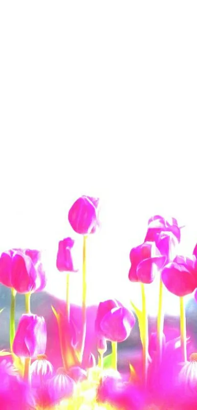 Vibrant pink tulips blooming on a bright background.