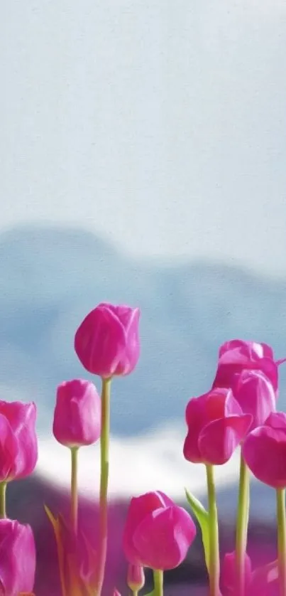 Pink tulips with mountain backdrop, ideal for phone wallpaper.