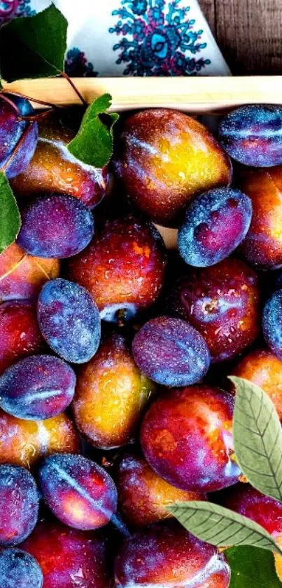 Vibrant plums in a wooden tray with decorative leaves.