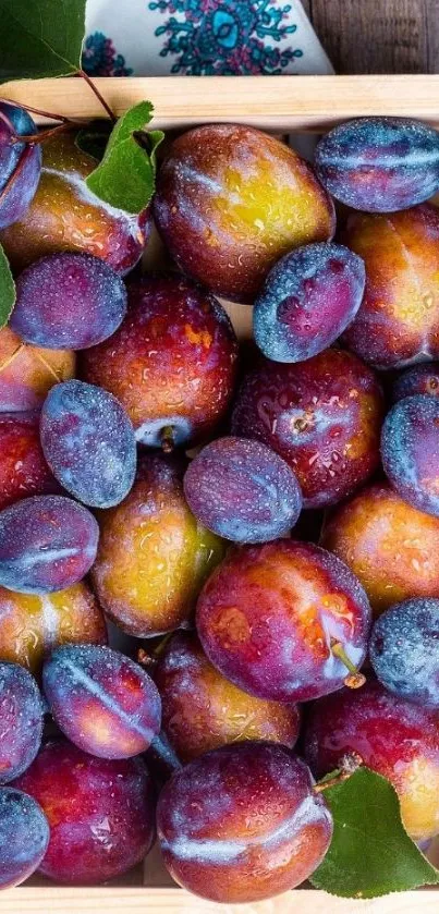 Vivid plums in a wooden crate showcasing natural colors.