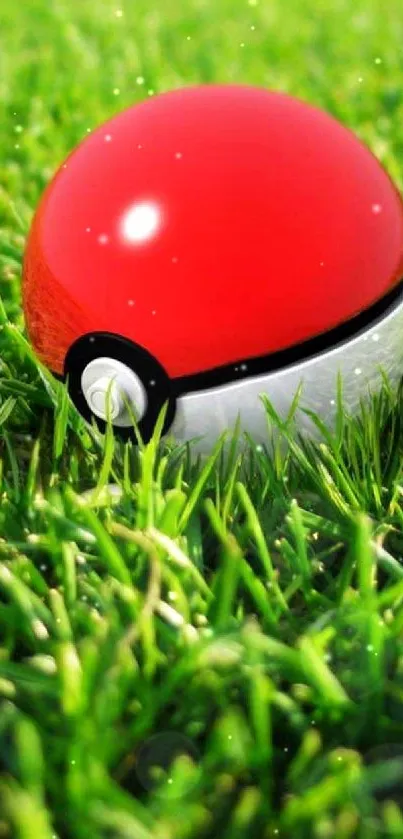 Colorful Pokeball on lush green grass background.