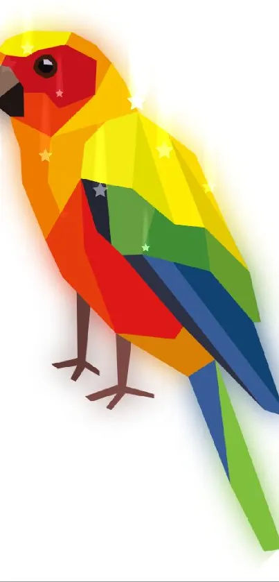 Colorful polygon parrot artwork on white background.