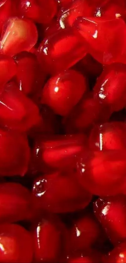 Vibrant close-up of pomegranate seeds with a rich red hue.