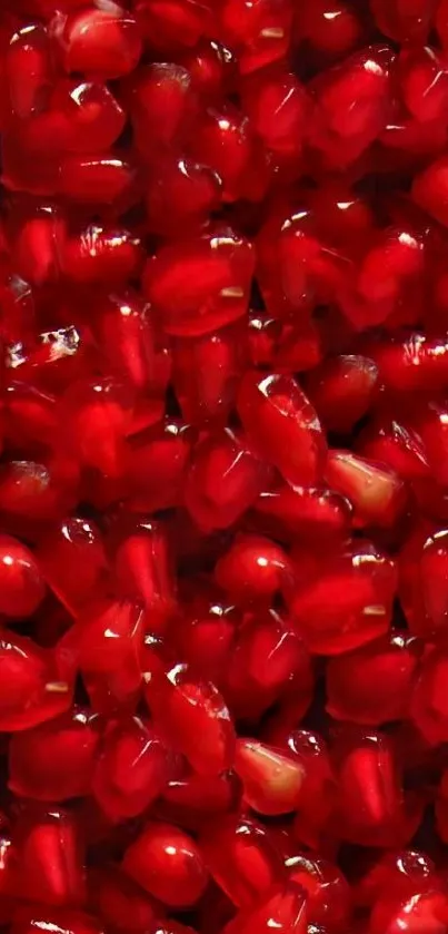 Close-up of vibrant red pomegranate seeds.