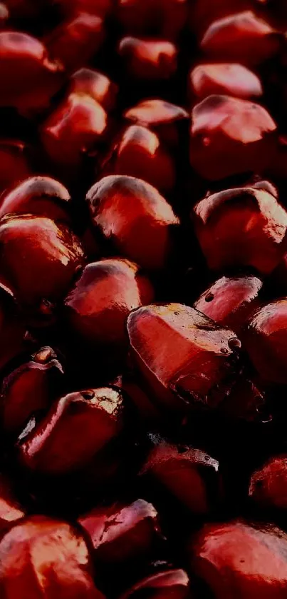 Vibrant close-up of pomegranate seeds showing deep red color tones.