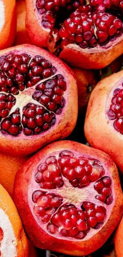 Close-up of vibrant red pomegranates in a natural setting.