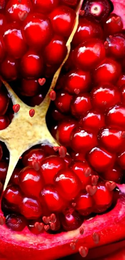 Close-up of a vibrant red pomegranate fruit design.