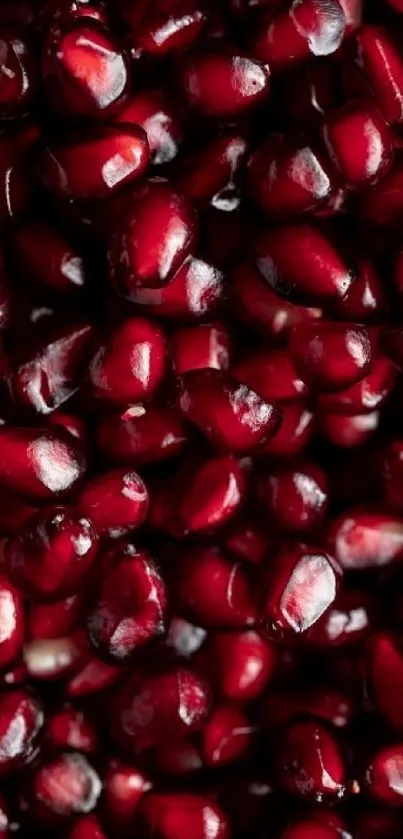 Close-up of vibrant red pomegranate seeds, rich in color and detail.