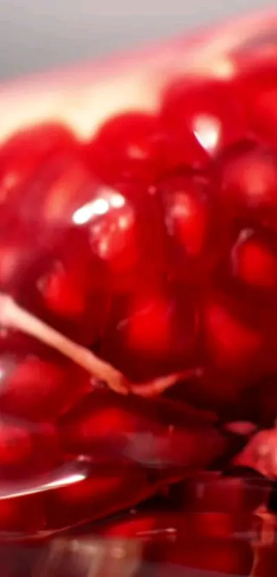 Vibrant pomegranate seeds close-up wallpaper.