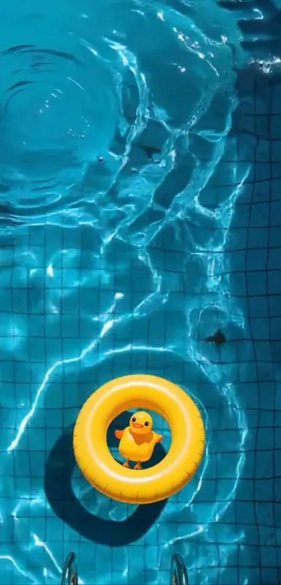 Vibrant pool with a yellow duck float.