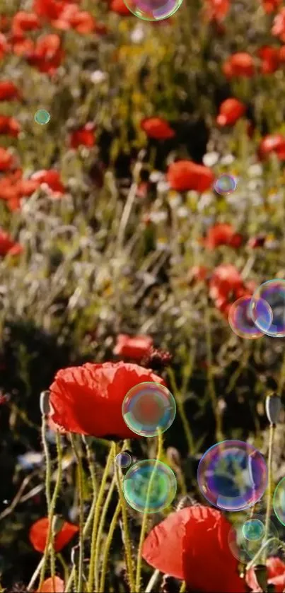 A vibrant field of red poppies with bubbles floating.