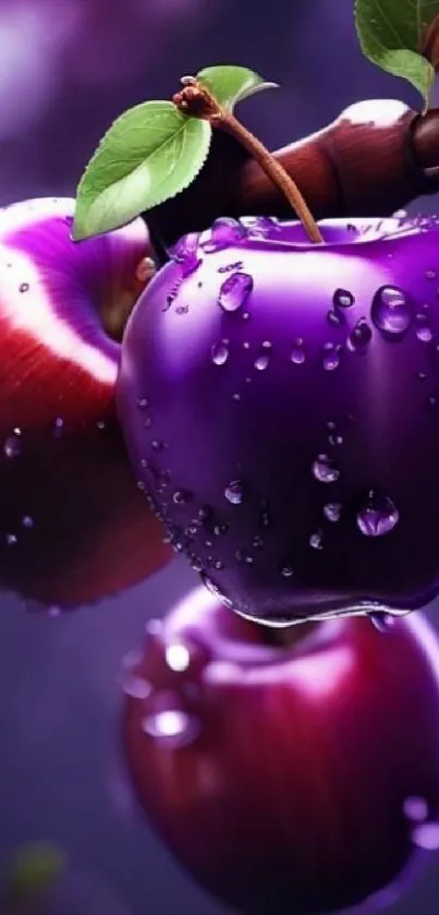 Vibrant purple apples with water droplets on a leafy branch.