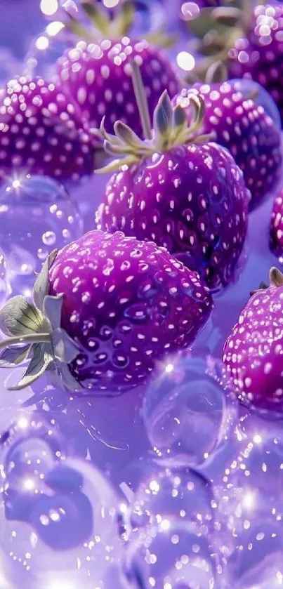 Vibrant purple berries with water droplets.