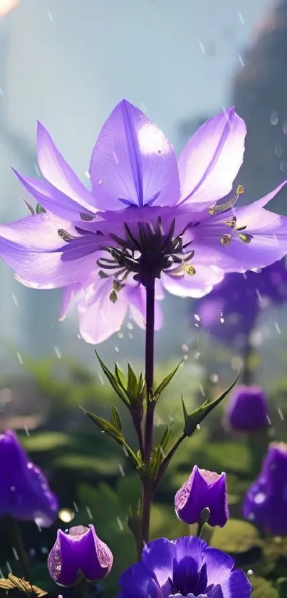 Purple blossom with dewdrops in a serene natural setting.