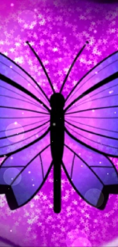 Purple butterfly with starry background wallpaper.