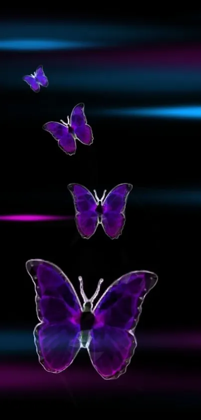 Vibrant purple butterflies with neon blue on a black background.