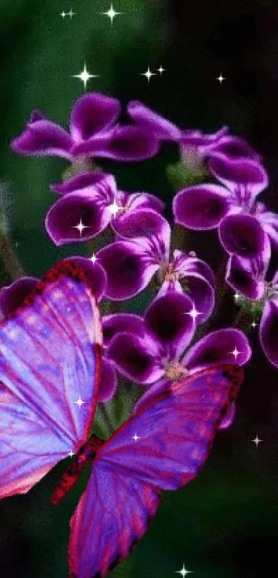 Purple butterfly resting on vibrant purple flowers.