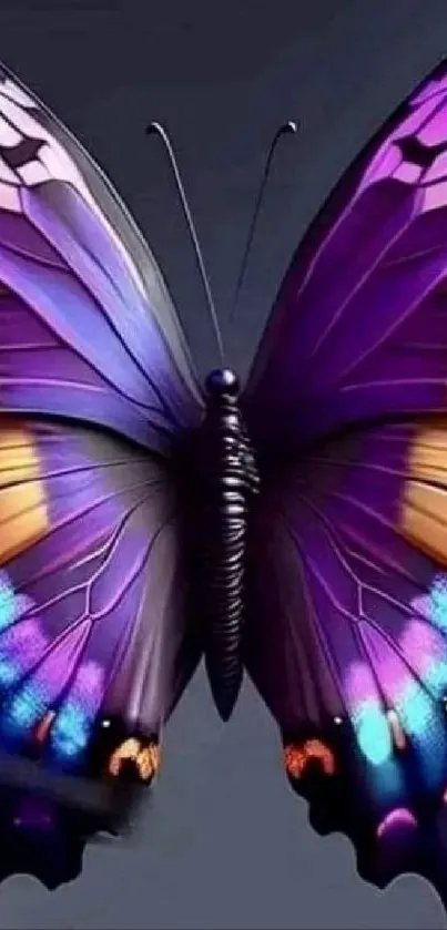 Vibrant purple butterfly with detailed wings art.