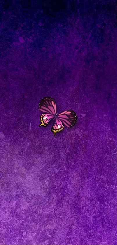 Purple butterfly on textured purple background wallpaper.