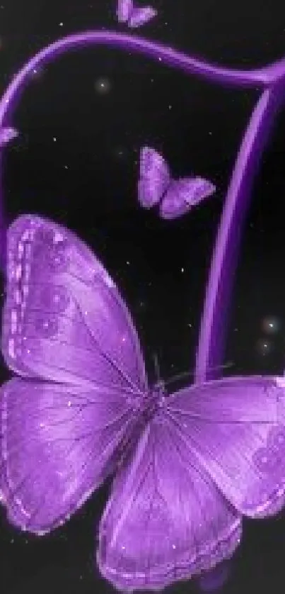 Purple butterfly on black background wallpaper.