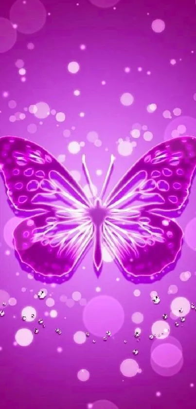 Bright purple butterfly with glowing accents on a dreamy background.