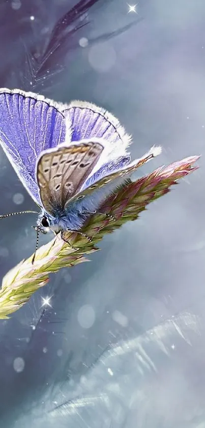 Purple butterfly resting on grass blade with sparkles.