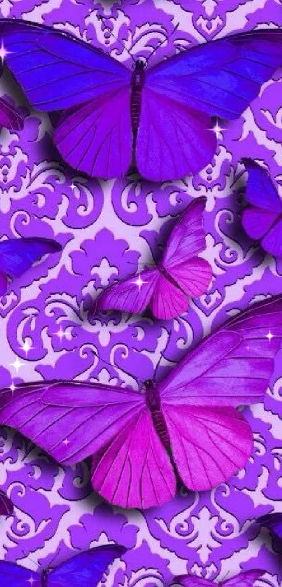 Vibrant purple butterflies with intricate patterns on a wallpaper.