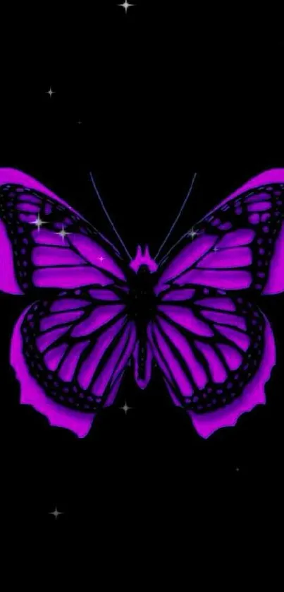 Purple butterfly on black background wallpaper.