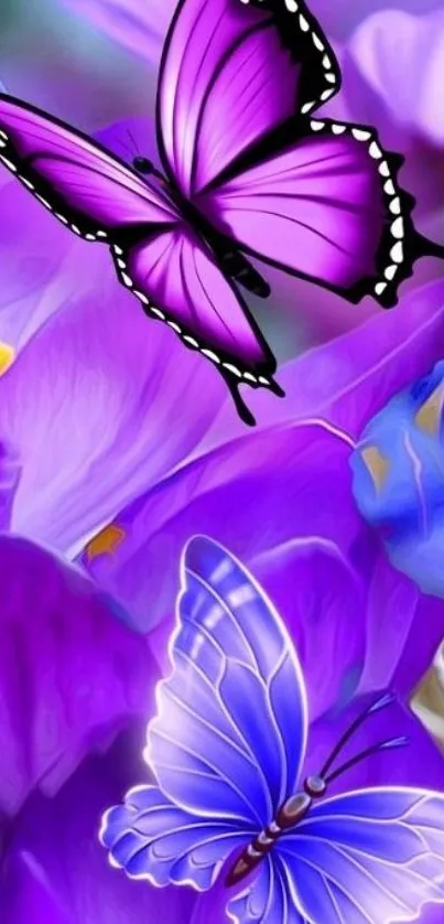 Vibrant purple and blue butterflies over delicate flowers.