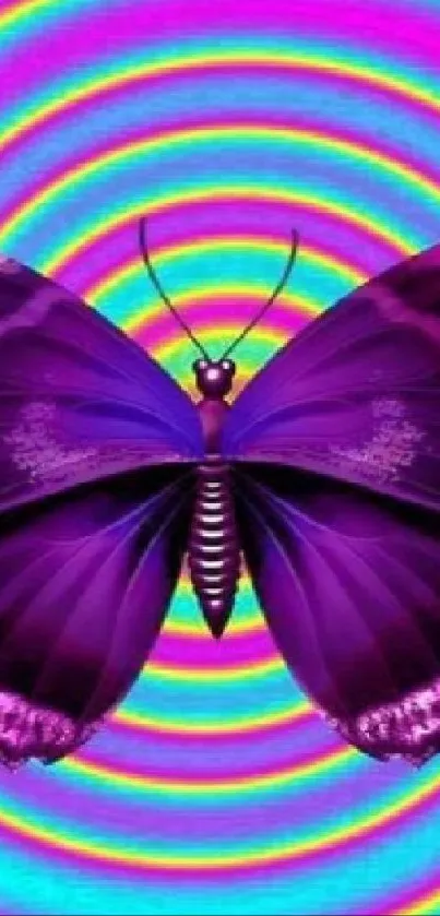 Vibrant purple butterfly on rainbow spiral background.