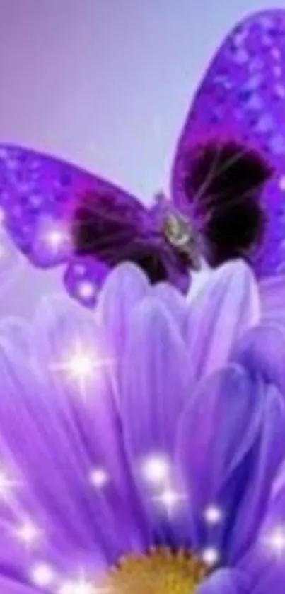 Purple butterfly sits gracefully on a violet daisy with sparkling lights.